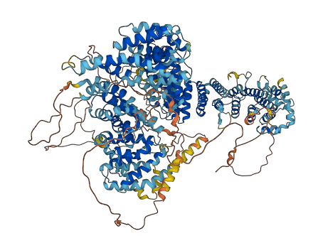 NCAPD3 3D structure
