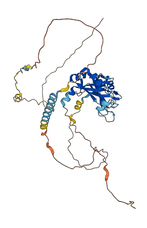 RBM34 3D structure
