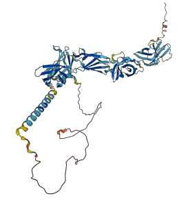 IL12RB1 3D structure