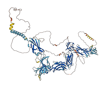 LIFR 3D structure