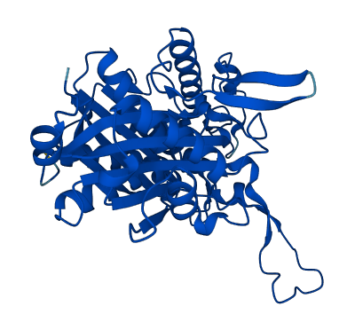 ACAA2 3D structure