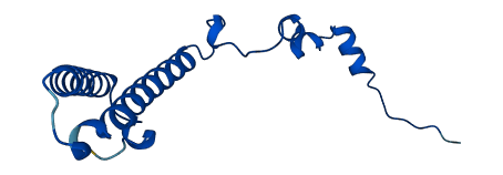 RPL35 3D structure