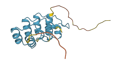CDKN2A 3D structure