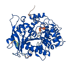 PRCP 3D structure