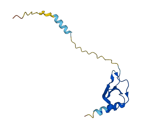 CXCL5 3D structure