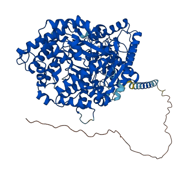 ECE1 3D structure