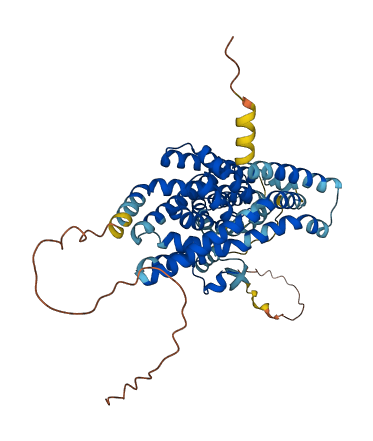 SLC1A1 3D structure