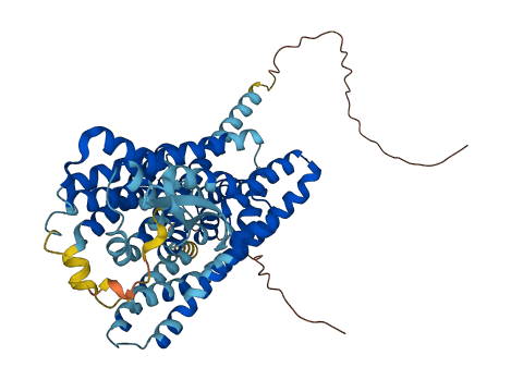 SLC1A4 3D structure