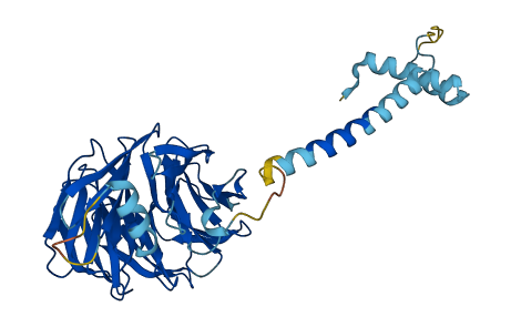 PAFAH1B1 3D structure