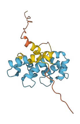 GUCA1A 3D structure