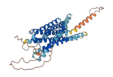 PTGER3 3D structure