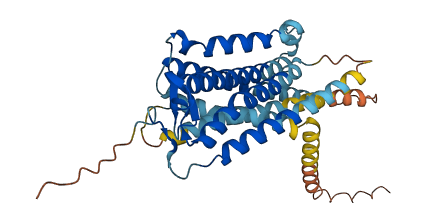 PTGER2 3D structure
