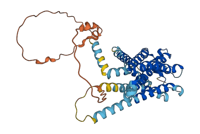 PTGIR 3D structure