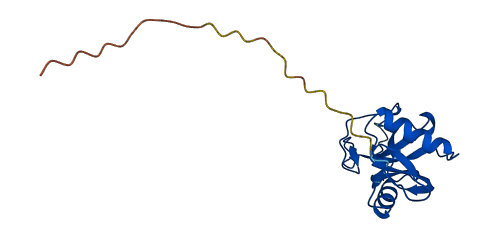 Reg1 3D structure