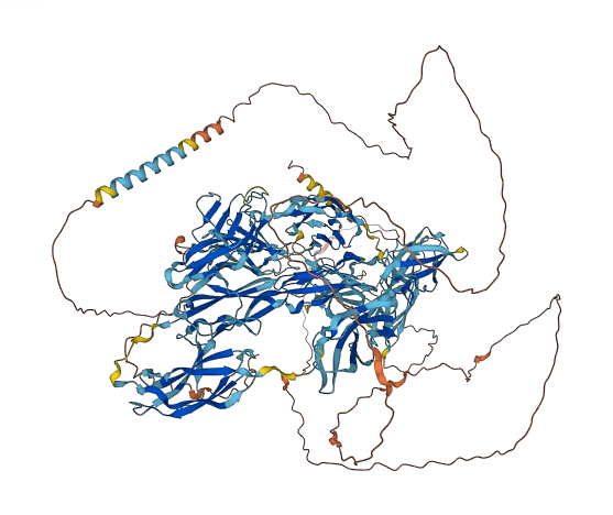 DCC 3D structure