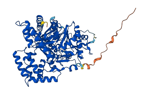 CRAT 3D structure