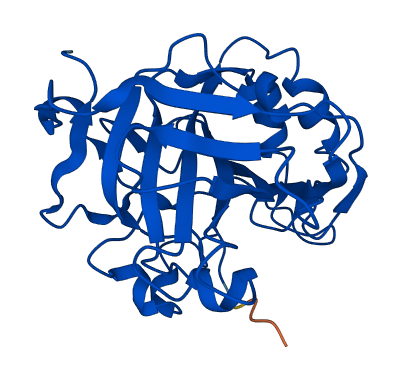 CA7 3D structure