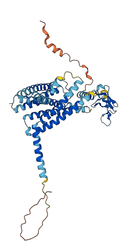 GLP1R 3D structure