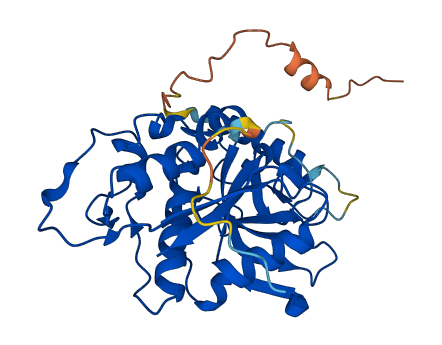 CTSO 3D structure