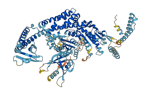 MSH2 3D structure