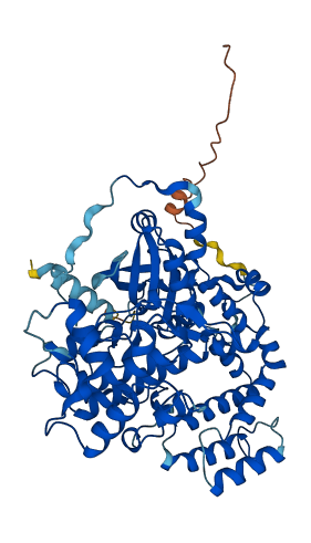 GRK6 3D structure