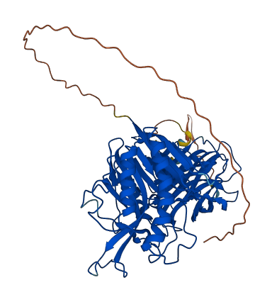 BTD 3D structure
