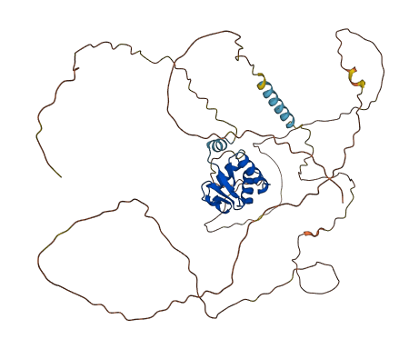 ETV4 3D structure