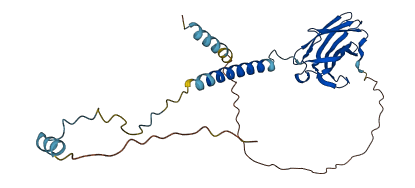 SSR1 3D structure