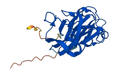 CRYBB2 3D structure