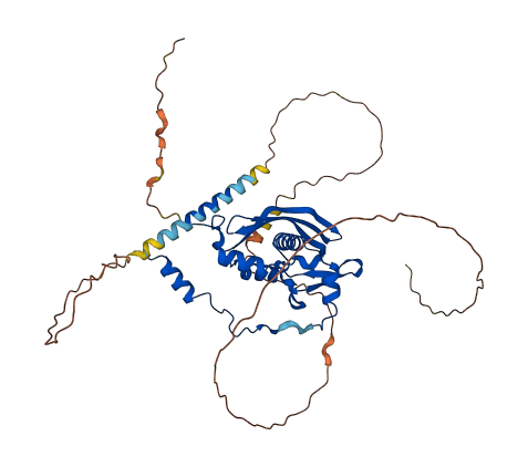 RAD52 3D structure