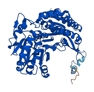 ALDH3B1 3D structure