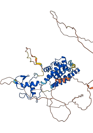NR4A2 3D structure