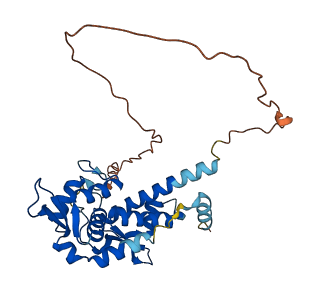 MAGEA1 3D structure
