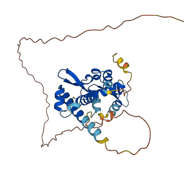 MAGEA2 3D structure