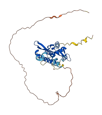 MAGEA3 3D structure