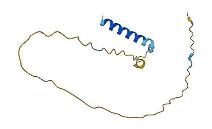 MAGEA5 3D structure