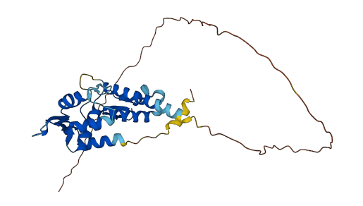 MAGEA6 3D structure