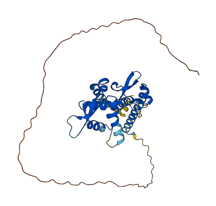 MAGEA8 3D structure