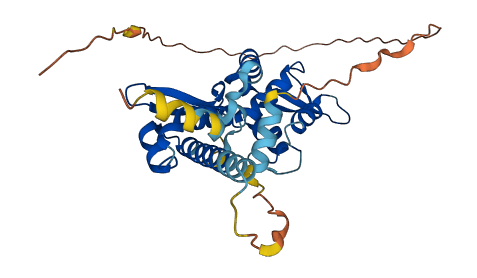 MAGEA9 3D structure