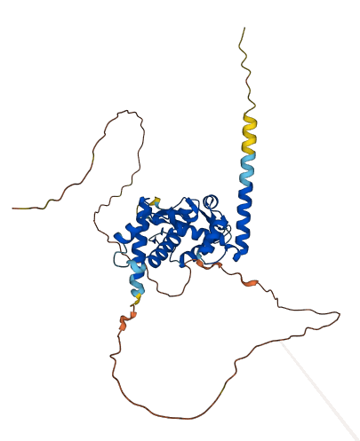 MAGEA10 3D structure