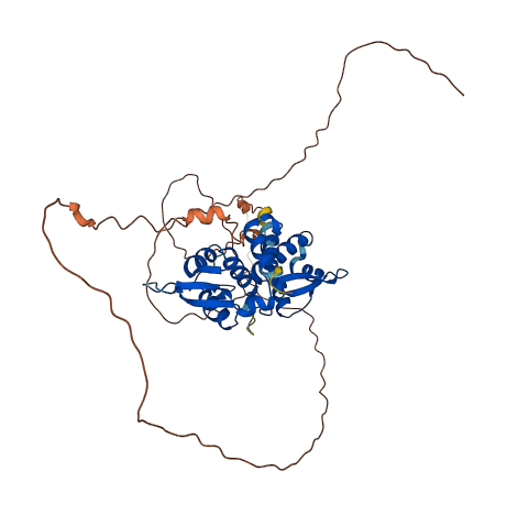 MAGEA11 3D structure