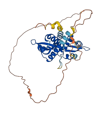 MAGEA12 3D structure