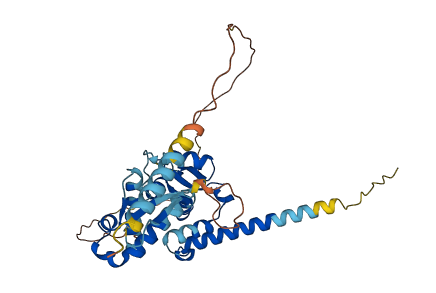 MAGEB1 3D structure