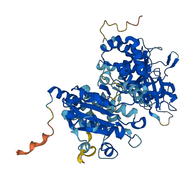 PTPN9 3D structure