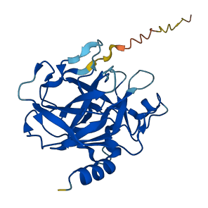 Mcpt8 3D structure