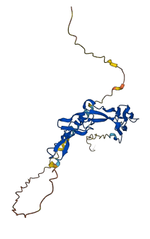 TNFRSF4 3D structure