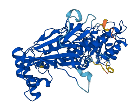NAMPT 3D structure