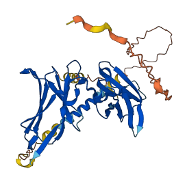 KIR2DL3 3D structure