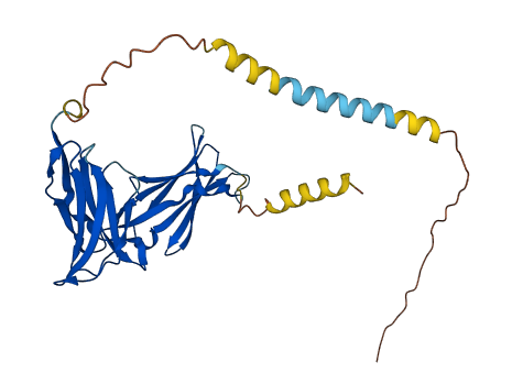 KIR2DS2 3D structure