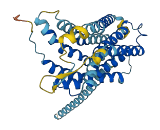 LPAR6 3D structure